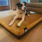 NRDOGS PREMIUM HUZAT XL SOFTMAGIC OKKER