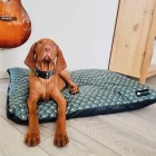 NRDOGS BASIC HUZAT  M ART PAVA