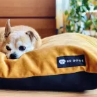 NRDOGS BASIC HUZAT XL SOFTMAGIC OKKER