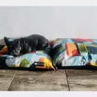 NRDOGS BASIC HUZAT M ABBA COLOR