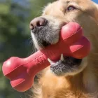 KONG Goodie Bone S