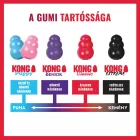 KONG Goodie Bone S