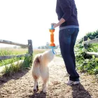 CHUCKIT RUGGED BUMPER  SMALL