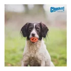 Chuckit Air Fetch Ball 2 db-os