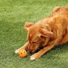 Chuckit Air Fetch Ball 2 db-os