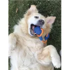 CHUCKIT CRUNCH  DUO-TUG