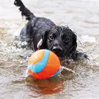 CHUCKIT AMPHIBIOUS 
