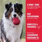 KONG Classic Rubber M