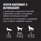 KONG KUTYAJÁTÉK LABDA EXTREME  M/L