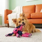 KONG Floppy Knots - Bunny