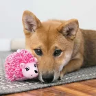 KONG Comfort Hedgehug