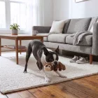 KONG Scrunch Knots - Squirrel-Mókus S/M