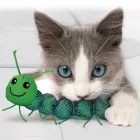 KONG NIBBLE  CAT