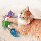 KONG TROPICS CAT 