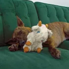 KONG Comfort Tykes - Kecske