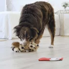 KONG Comfort Pups - Folti