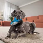 KONG Maxx Cápa 27 cm