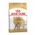 ROYAL CANIN DOG POODLE  1,5KG