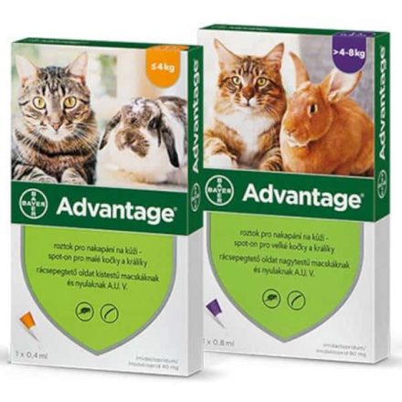 Advantage macskáknak 4kg alatt - rácseppentő oldat bolhák ellen (0,4ml) 1DB