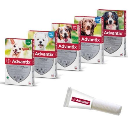 ADVANTIX Spot-On rácsepegtető oldat 40-60kg kutyáknak (6ml)