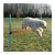 TRIXIE DOG ACTIVITY JÁTÉK AGILITY A 123X115CM #3207