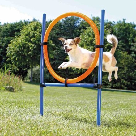 TRIXIE DOG ACTIVITY JÁTÉK AGILITY A GYŰRŰ #3208