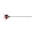 TRIXIE CICA PECA TOLLAS  50CM #4106