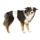 TRIXIE KAN KUTYA PELENKA 12 DB M-L 46X60CM 23642 