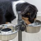 TRIXIE DOG BAR FÉMTÁLAK ÁLLVÁNNYAL 1,8L/2DB