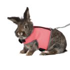 TRIXIE MELLÉNYES HÁM PÓRÁZZAL 25-40CM NYÚL 61514