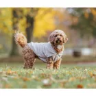 TRIXIE CARSON HOODIE PULÓVER HOMOK S 36CM