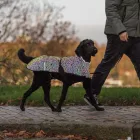 TRIXIE LIMOUX KUTYA KABÁT FÉNYVISSZ S 33CM MULTICOLOUR