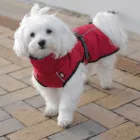 TRIXIE MINOT KABAT S 40CM