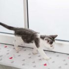 TRIXIE XMAS FEKVŐSZÖNYEG ABLAKPÁRK. 90X28CM