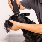 WAHL/MOSER NYÍRÓKÉSZÜLÉK REX 1230 MODEL