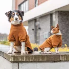 TRIXIE C.S AMSTERDAM PULÓVER ROZSDA S 40CM