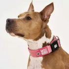 MAX & MOLLY SMART ID NYAKÖRV MATRIX 2.0 XS ROSE 22-35CM