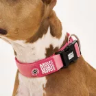 MAX & MOLLY SMART ID NYAKÖRV MATRIX 2.0 M ROSE 34-55CM