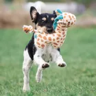 MAX & MOLLY PLÜSSJÁTÉK SÍPOL Giraffe Jerry 26CM