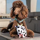 MAX & MOLLY PLÜSSJÁTÉK SÍPOL Cow Claire 26CM