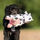 MAX & MOLLY PLÜSSJÁTÉK SÍPOL Cow Claire 26CM