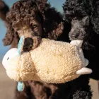MAX & MOLLY PLÜSSJÁTÉK SÍPOL Sheep Barbara 27CM