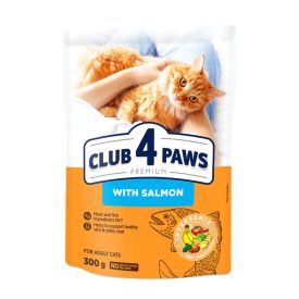 CLUB4PAWS CAT DRY LAZAC 300G 