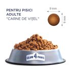 CLUB4PAWS CAT DRY BORJÚ  2KG 