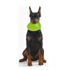 FRIZBI FLYBER 22CM LIME