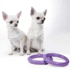 PULLER MICRO DOG FITNESS TOOL 12,5CM 2DB-OS