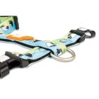 MAX & MOLLY H-ALAKÚ HÁM KUTYÁKNAK M BÁRÁNYOS