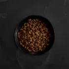CANAGAN KUTYA DRY 2KG VIDÉKI VAD