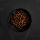 CANAGAN KUTYA DRY SENIO 12KG CSIRKE
