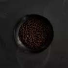 CANAGAN KUTYA DRY SMALL 2KG SKÓT LAZAC